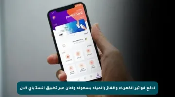 ادفع فواتير الكهرباء والغاز والمياه بسهولة وأمان عبر تطبيق إنستاباي الآن